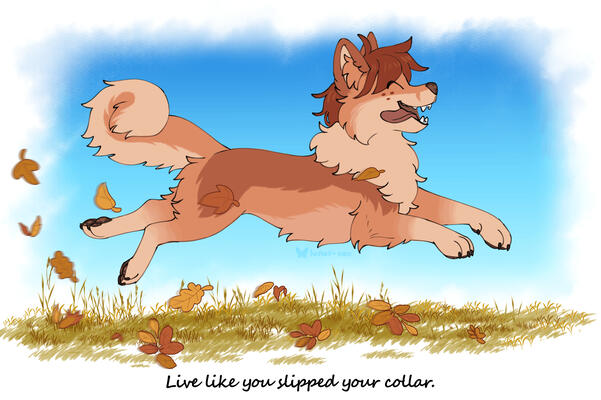 Loose Dog Commission, ft. 1 full body with medium background Loose Dog Commission, ft. 1 full body with medium background